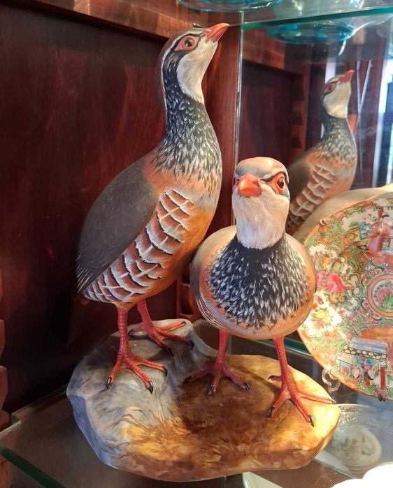 Casal de perdizes Vista Alegre