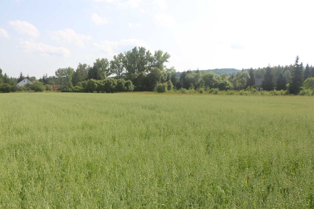 Kotlina Kłodzka ziemia rolna