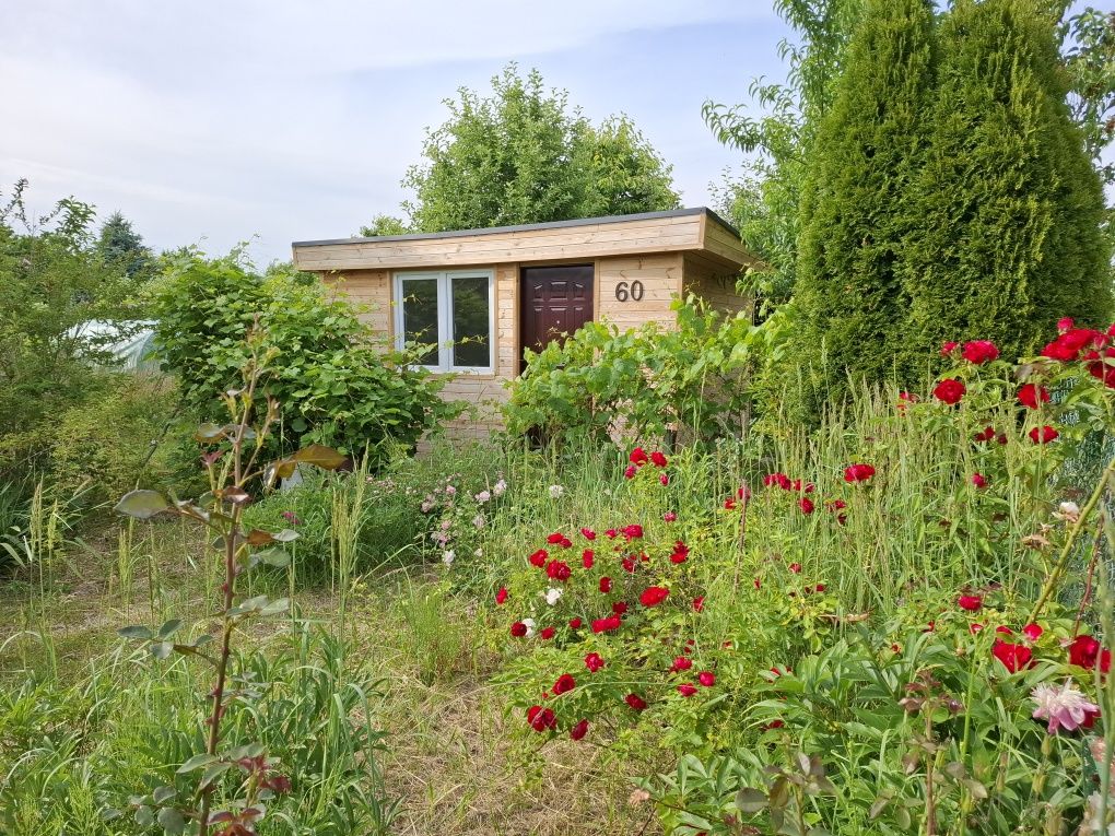 Działka ROD 60  Stefana Żeromskiego 350 m2