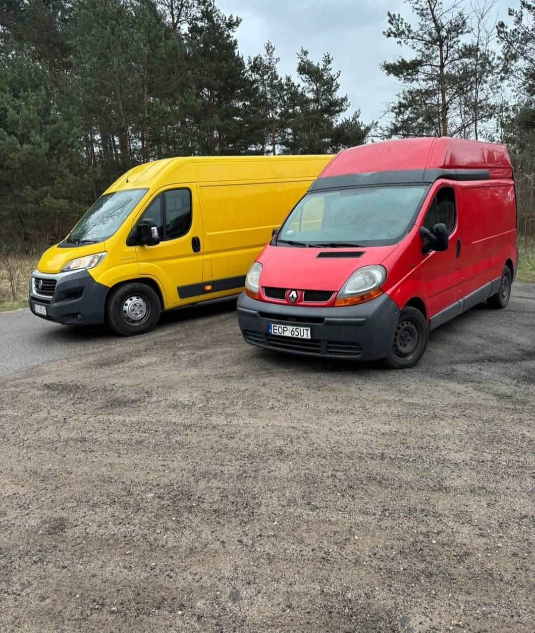 Przeprowadzki transport przewóz utylizacja