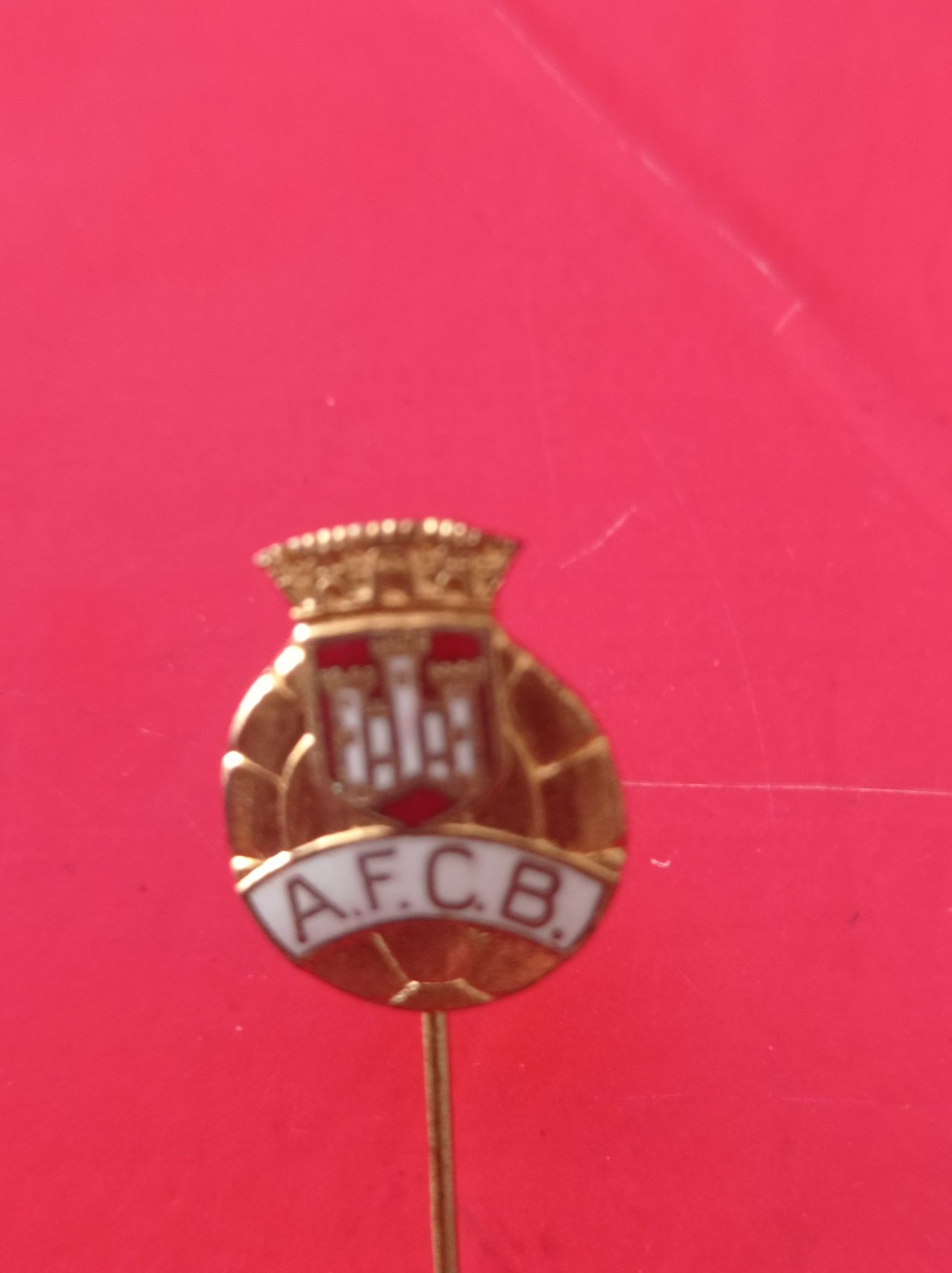 Pins ou alfinete