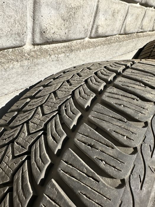 Debica Frigo HP2 225/50 r17