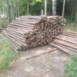 stemple budowlane (około 700 sztuk, długość 2,9 m)