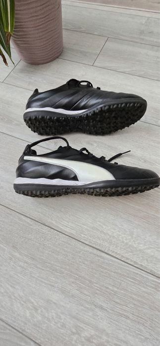 puma сороконожки