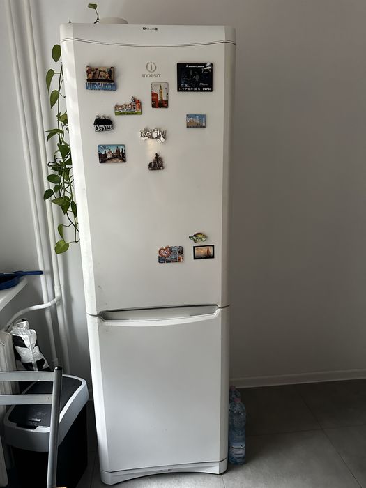 Lodówka Chłodziarko-zamrażarka Indesit BAAN 13L