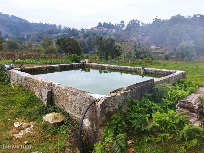Quinta / Cinfães, Tarouquela