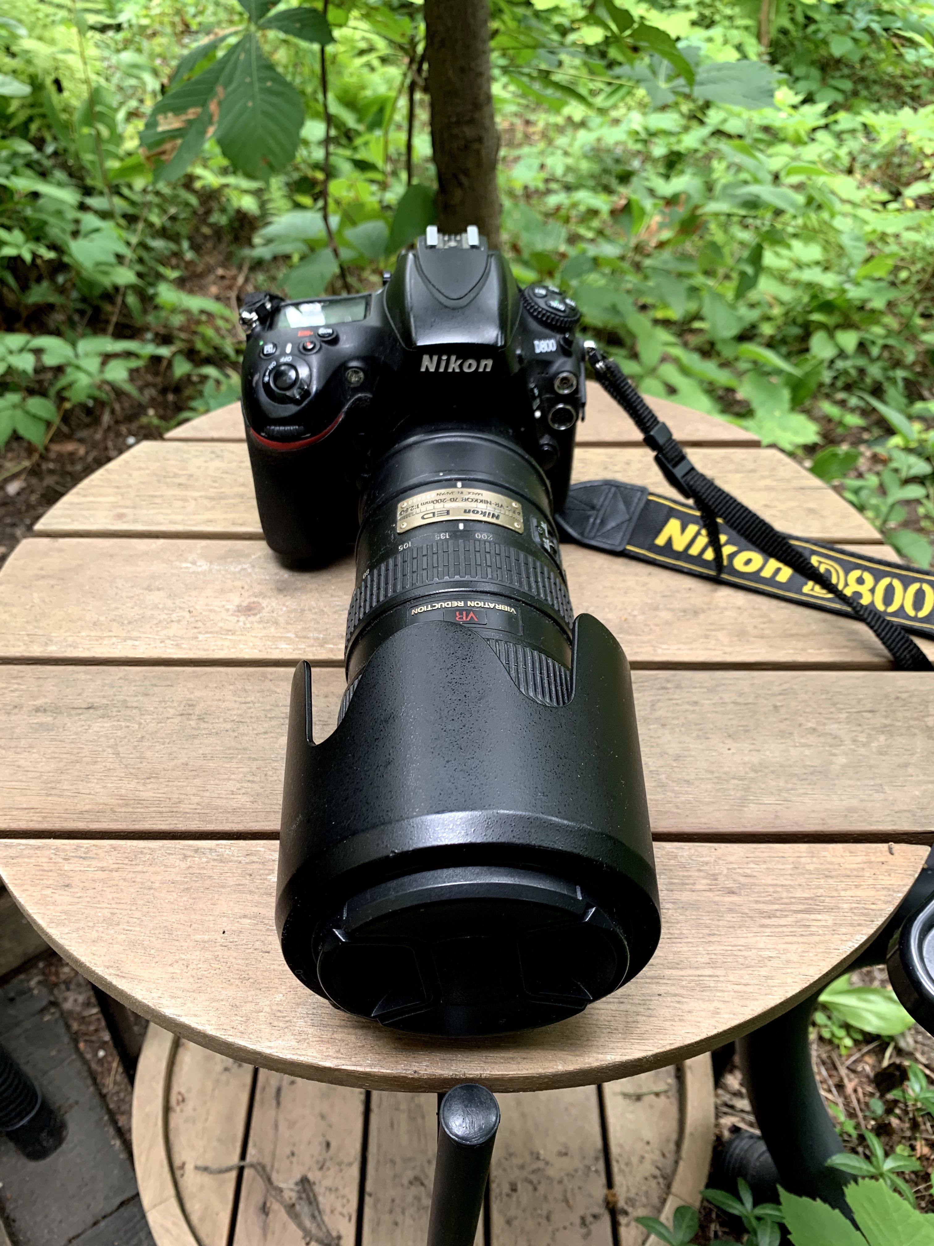NIKON D-800 + OBIEKTYW Nikkor 70-200mm f/2.8 AF-S VR G ED