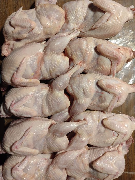 Тушки перепела по 250 грн