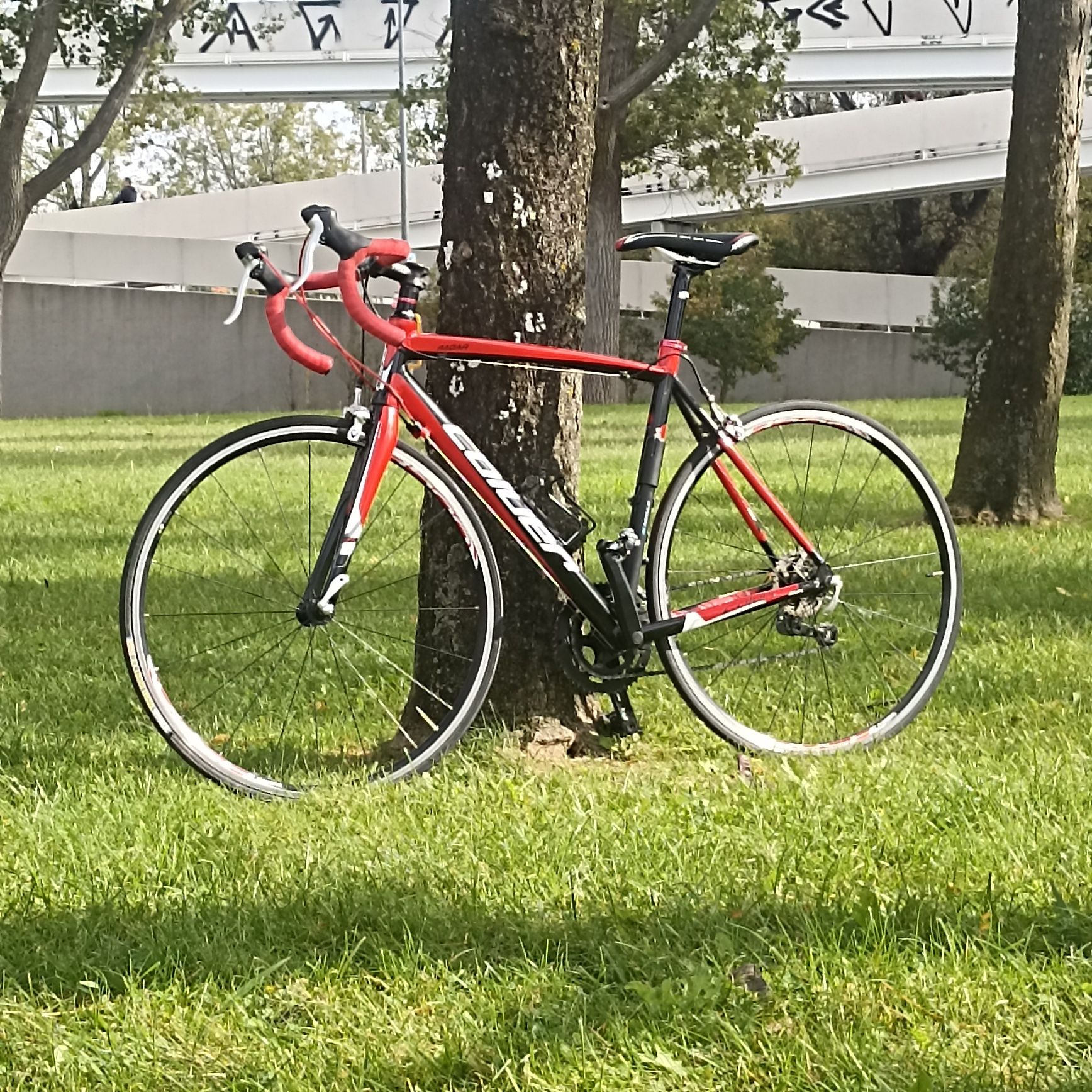 Bicicleta (estrada / ciclismo) Coluer Radar