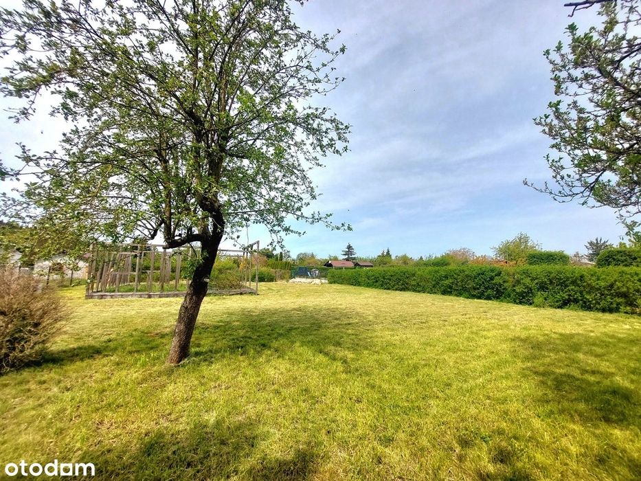 Działka ROD 800 m2 z widokiem na las w Piechcinie