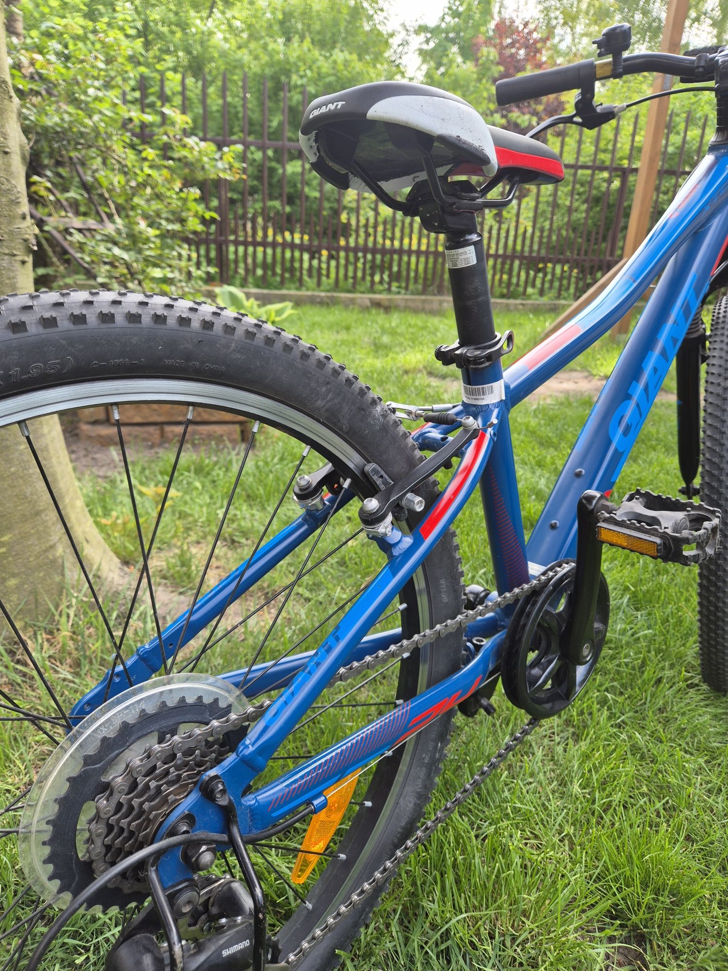 Rowery Giant  XTC Jr 24