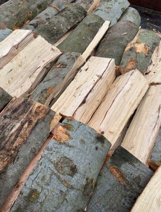 Drewno Kominkowe Buk Dąb