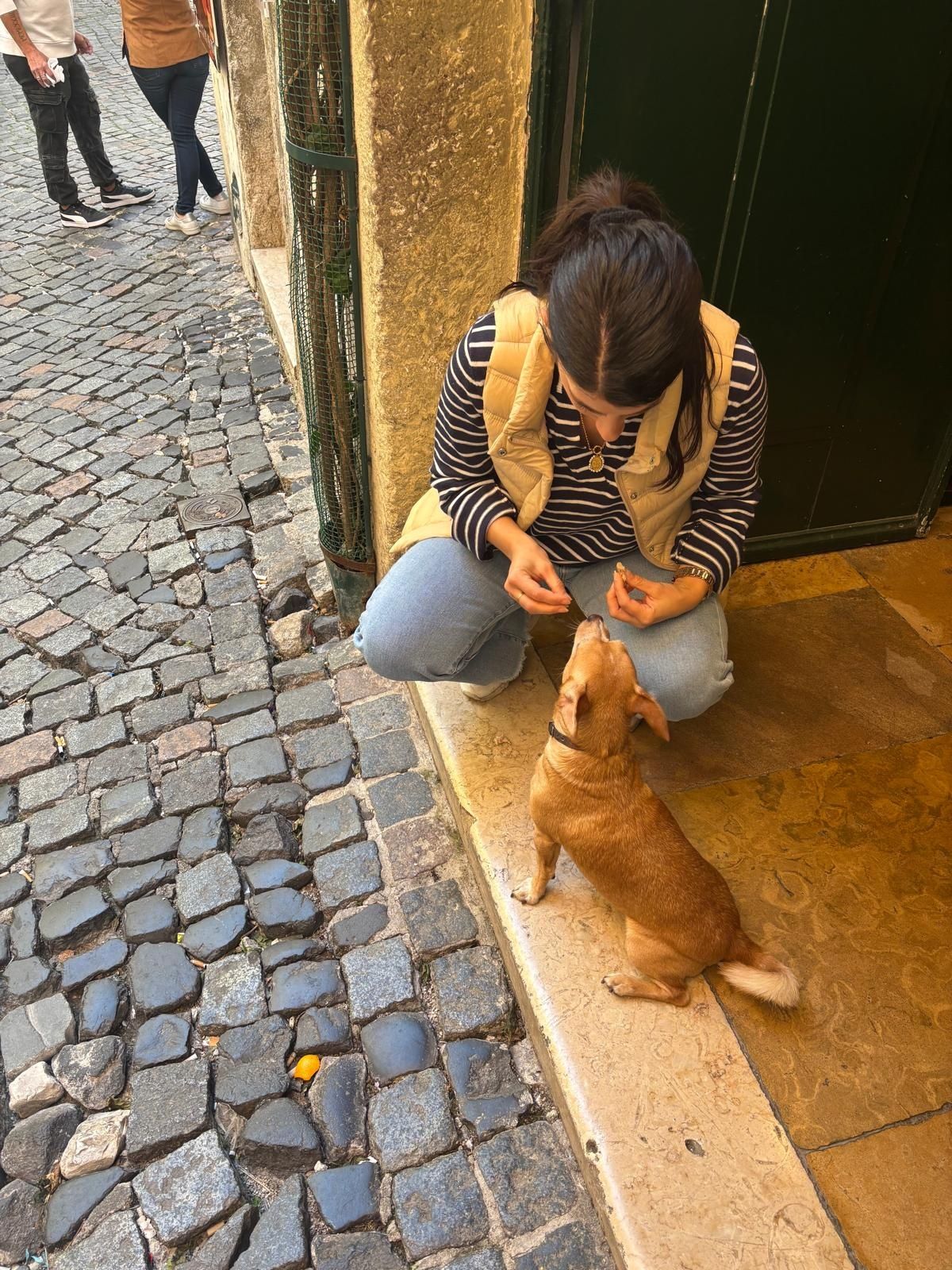 Petsitting/petwalker e housekeeping alcochete/montijo