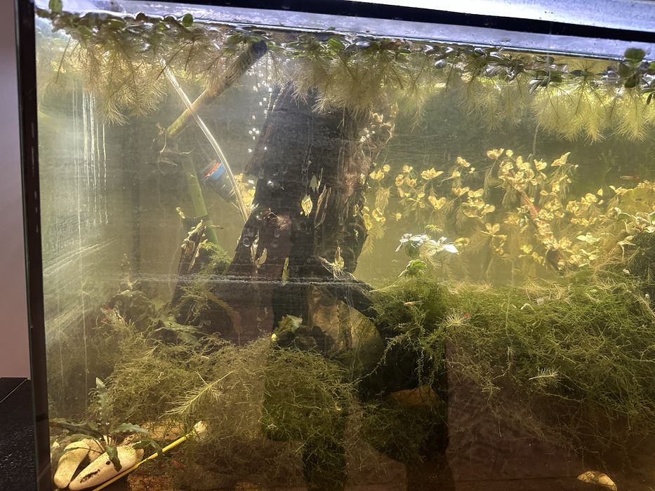Aquário 1m completo c/ LED + acessórios — despachar em Gondomar