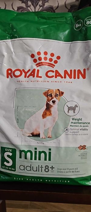 Royal Canin Mini Adult8+ 8kg Karma Sucha Dla Psów Starszych Ras Małych
