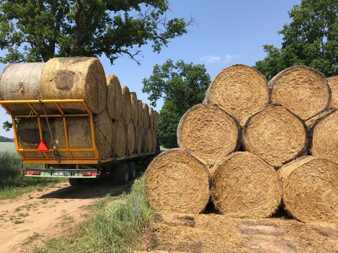 Słoma baloty 160 cm tegoroczna możliwy transport