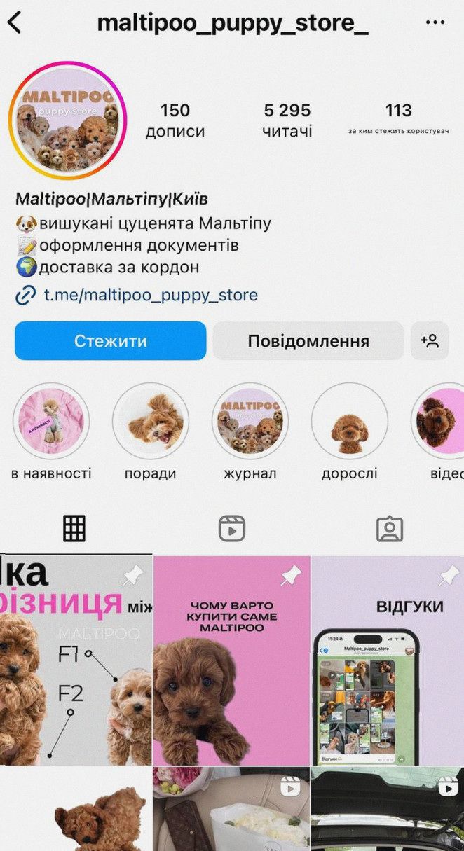 Mальтіпу міні – активні та ніжні Baby face Для сім'ї