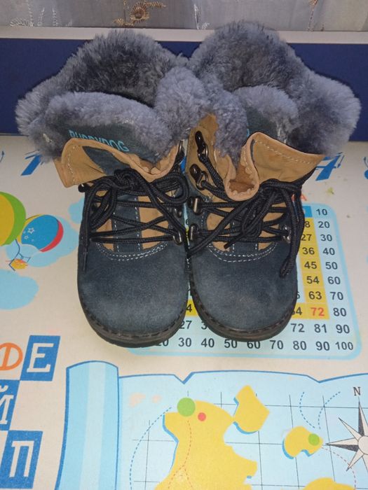 Зимові сапожки на хлопчика BUDDY DOG