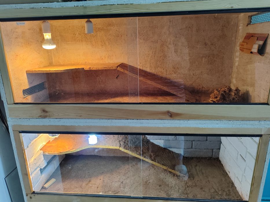 Terrarium agama wąż gekon