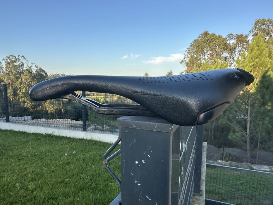 Selim selle italia novus
