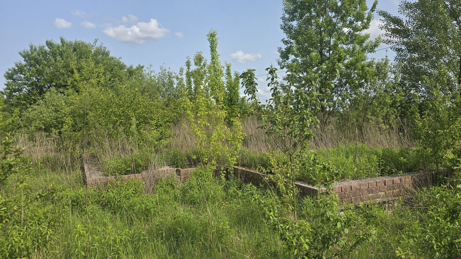 Продаж ділянки район Смоківка, фундамент, криниця (2692654)