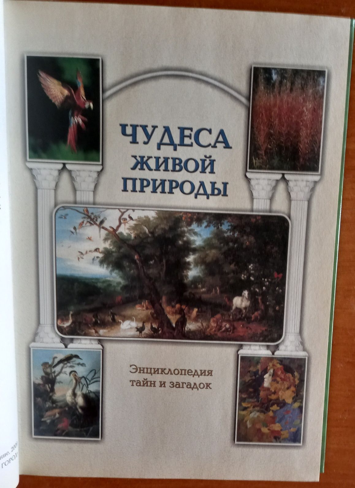 Книга Чудеса живой природы. Энциклопедия тайн и загадок.