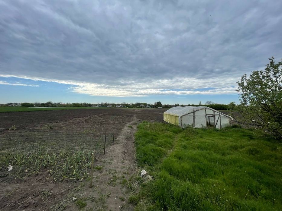 Будинок село Острів