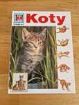 Koty z serii Co i jak encyklopedia