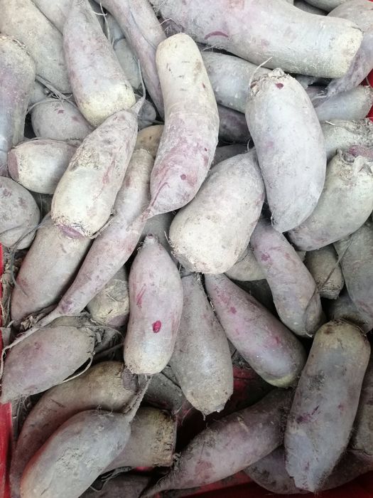 Buraczki ćwikłowe na zaprawy