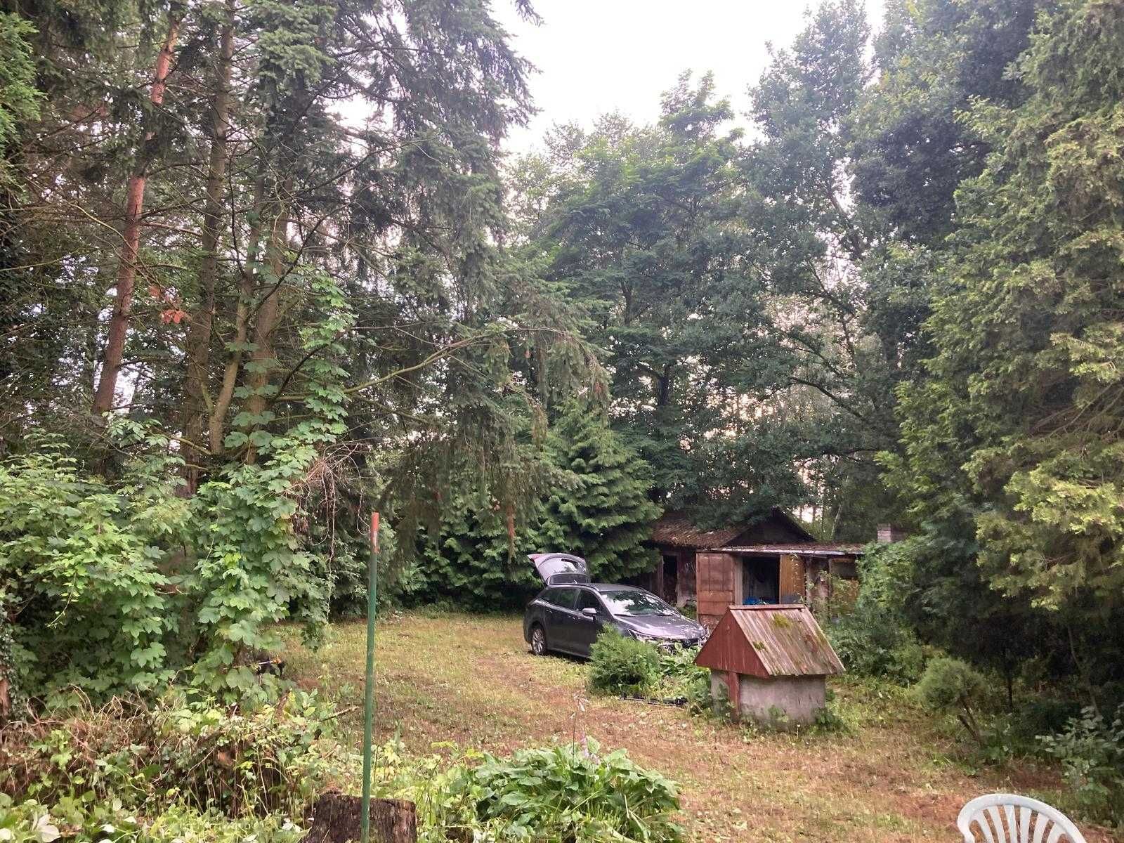 Bajkowe siedlisko niedaleko Czyżewa