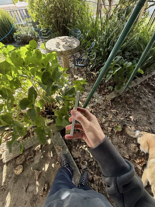 iPhone 12 mini 128gb