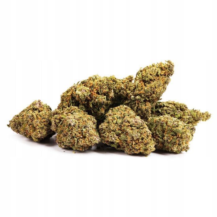 100G Susz konopny CBD LEMON HAZE 0,20%