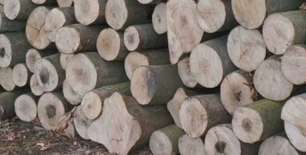 Drewno drzewo kominkowe opałowe wałki grab buk dąb brzoza olcha