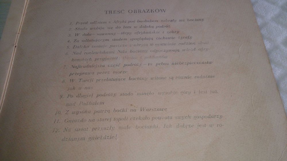 Roman Owidzki - Bociany wracają (Książka)