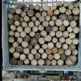 Продам дрова осика сосна
