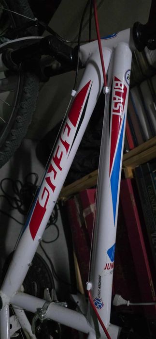 Bicicleta Berg Junior 18 velocidades