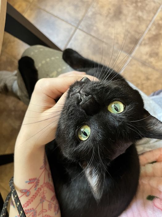 Темінь шукає дім