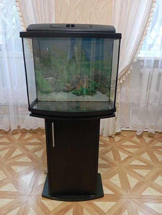 аквариум на 80 литров с тумбой