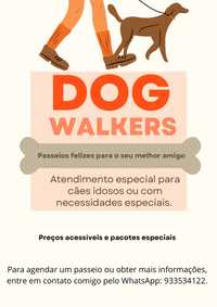 Serviço de Dog Walkers