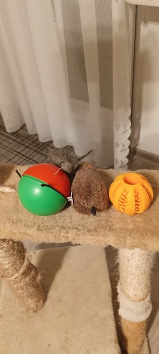 Drapak dla kota duzy