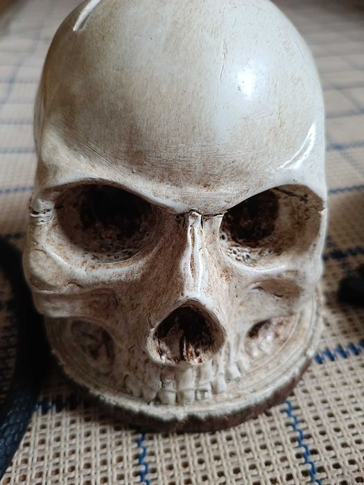 Zestaw na Helloween ! Czaszka skarbonka ,maska, żmija