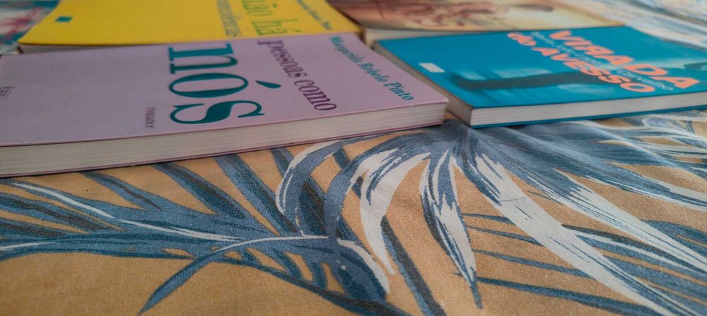 Livros margarida Rebelo pinto