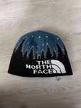 Двустороння шапка the north face тнф
