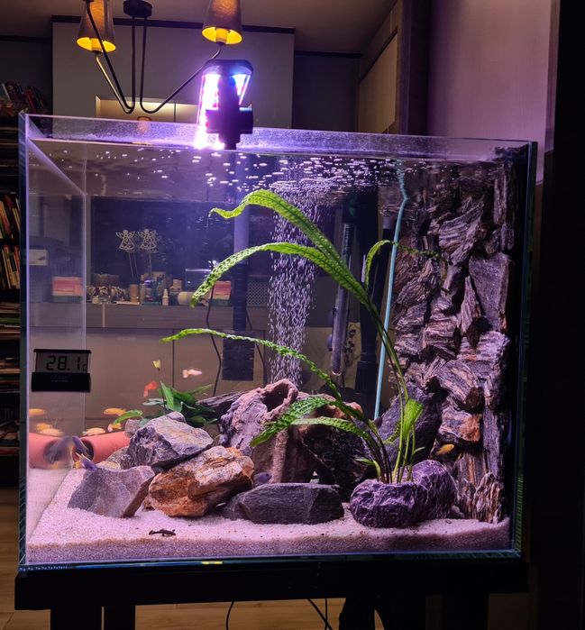 Akwaria oraz gabloty na wymiar pod zamówienia indywidualne-Cała Polska