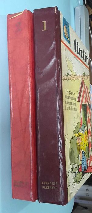 TINTIN - 1º ano COMPLETO - Volumes 1 e 2 - Encadernação editorial