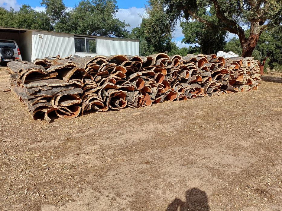 Vendo pequena pilha de Cortiça, refugo, Tacos