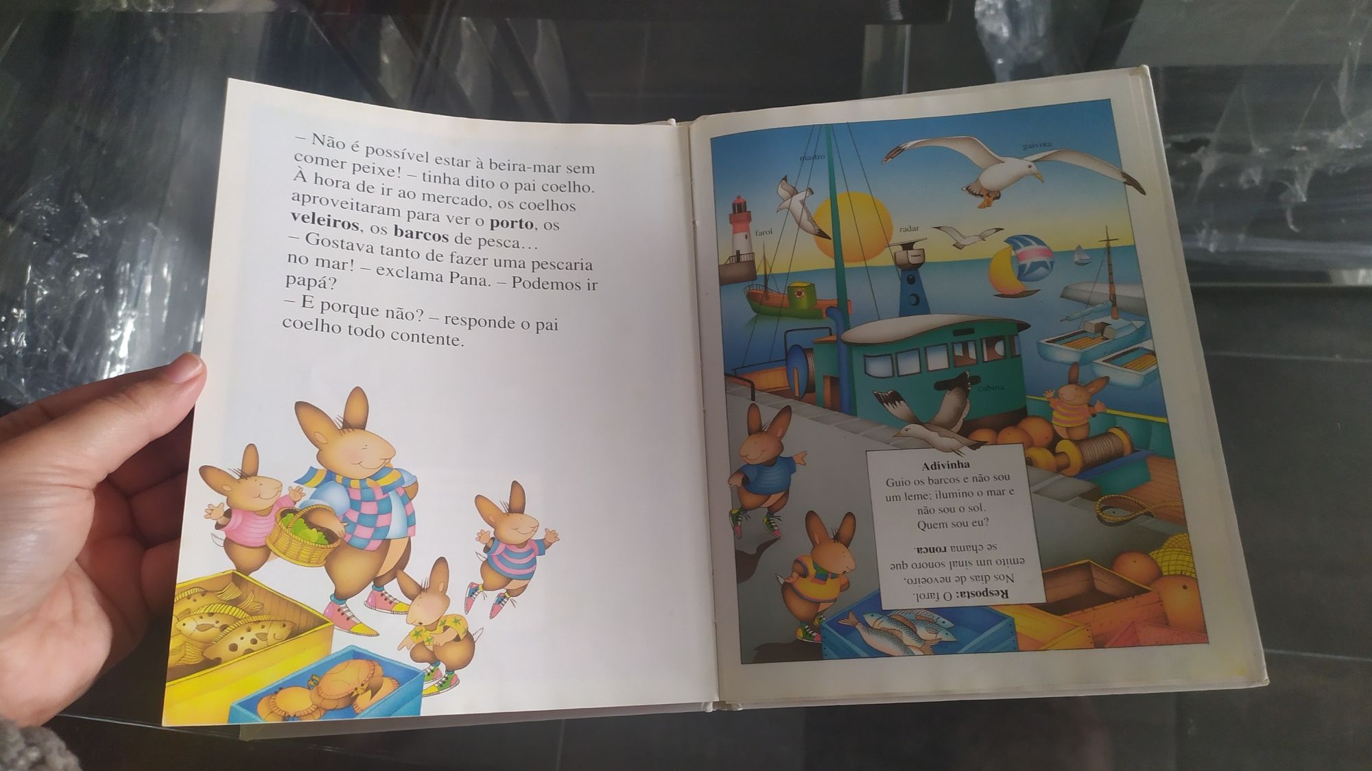 Livro os coelhinhos descobrem o mar