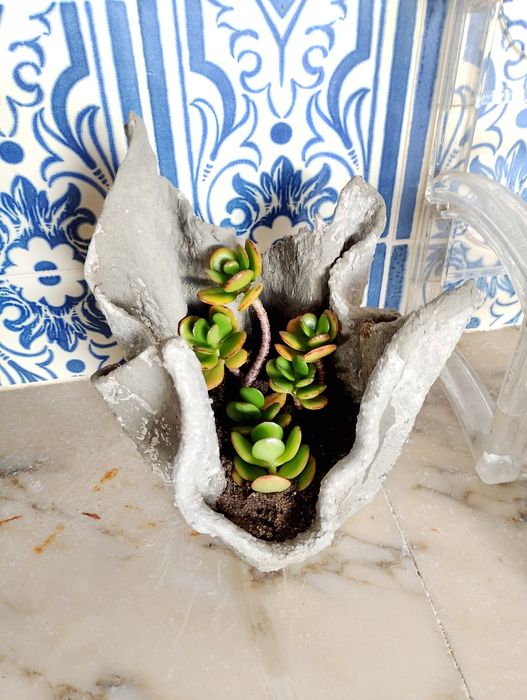 Vasos para decoração do seu lar