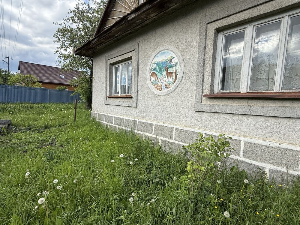 Продається будинок з ділянкою 14 сотих у горах Закарпаття
