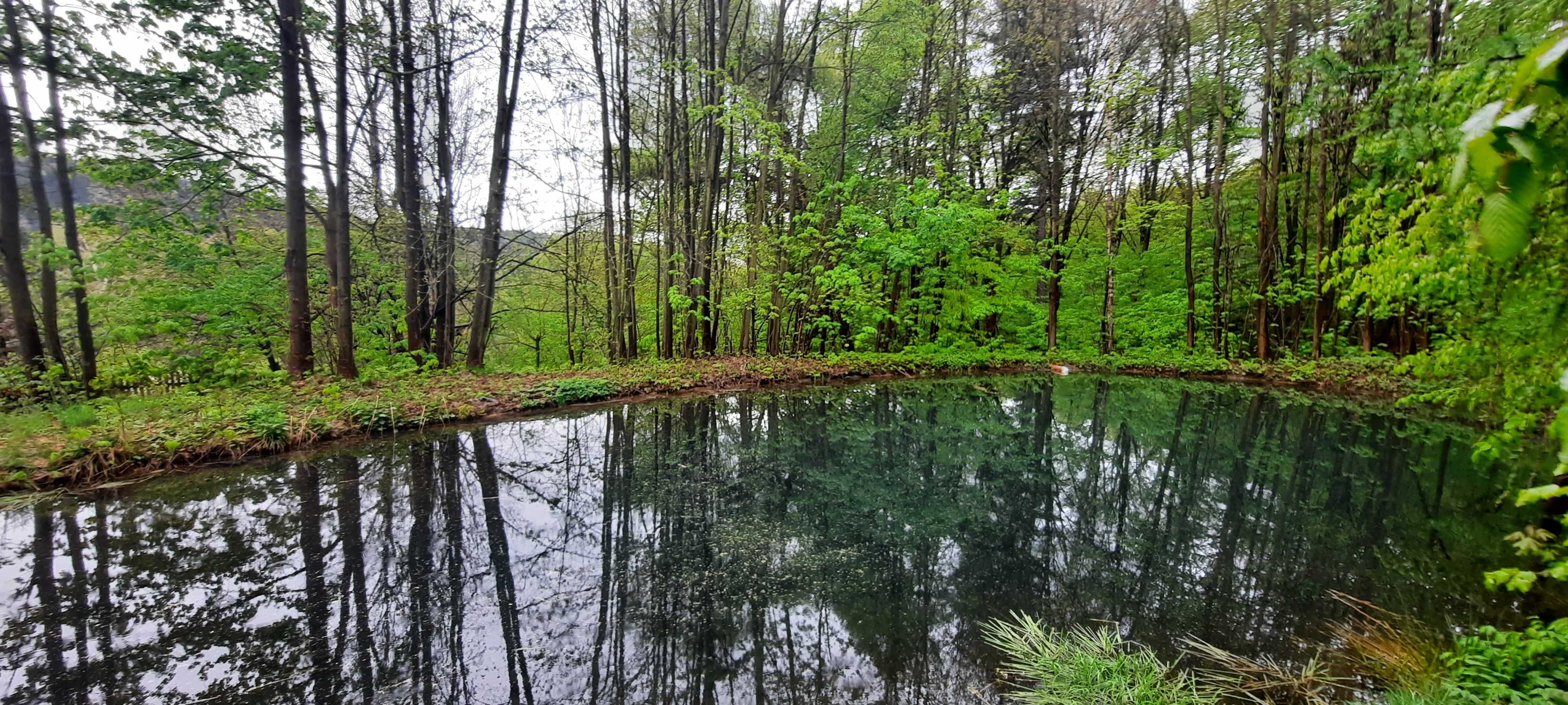 Domek w górach "Zielony dzięcioł", wynajem noclegi